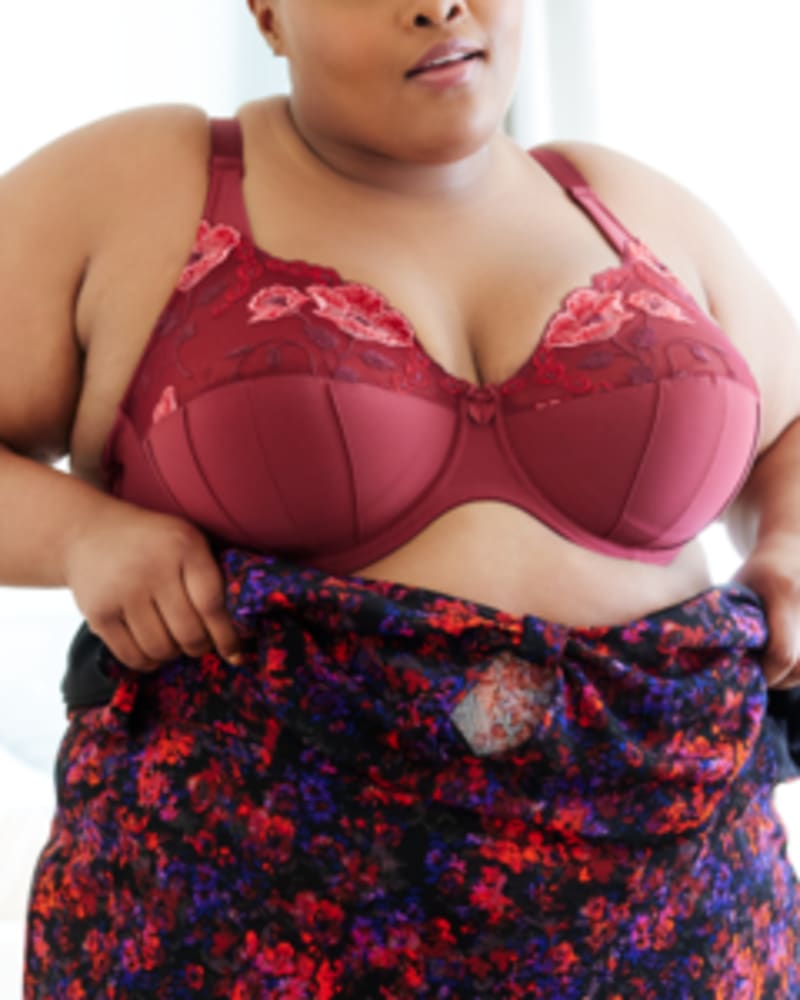 Looking for a Great Plus Size Bra? Try Oola Lingerie!