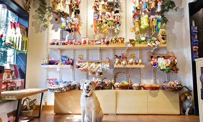 Pet Store