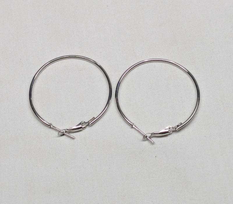 Big Earrings hoops