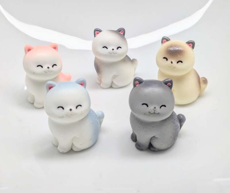 Kitten charm