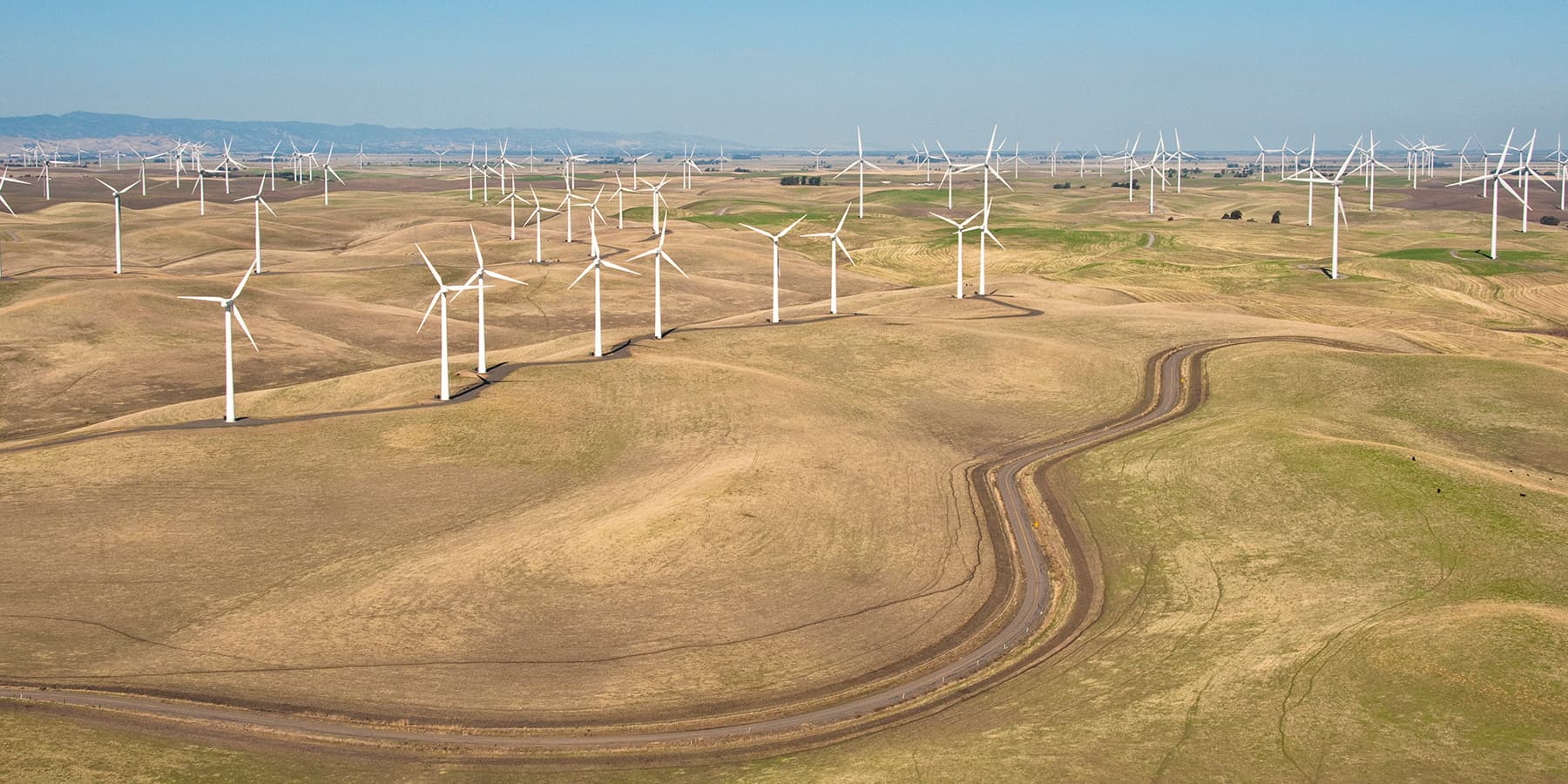 Aerial view of wind farm