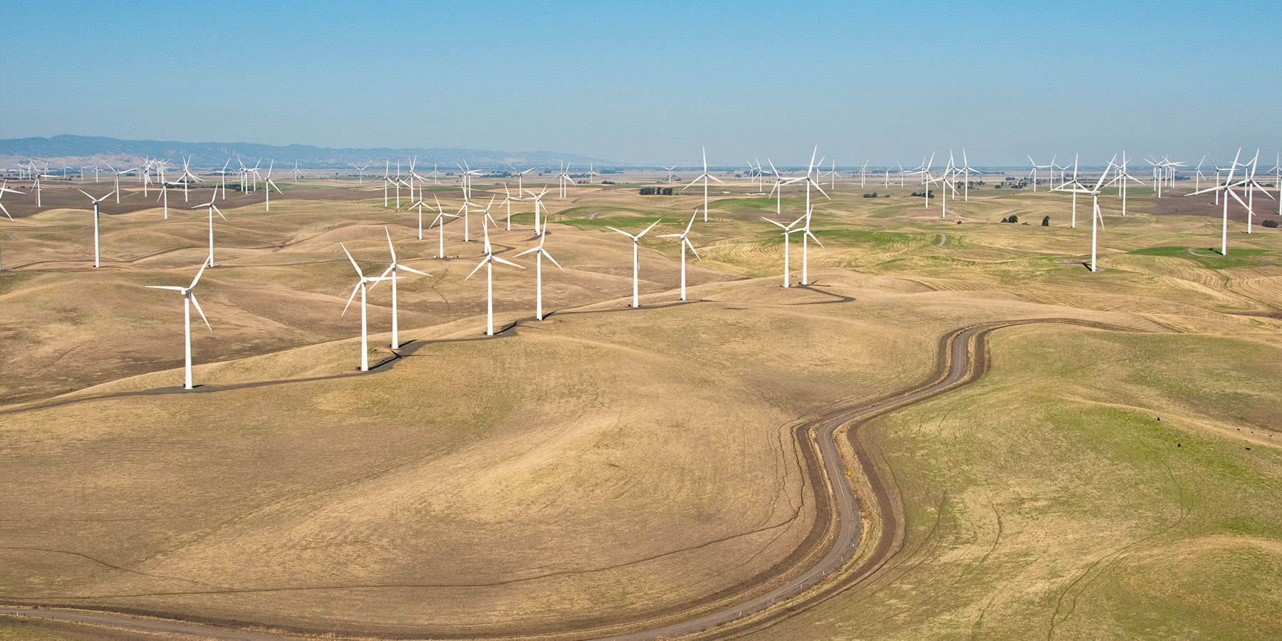 Wind turbines in Altamont Pass, California