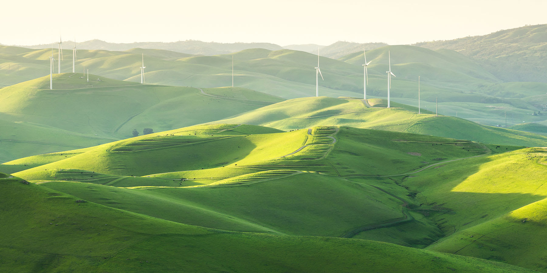 Wind turbines in green fields at Altamont Pass, California