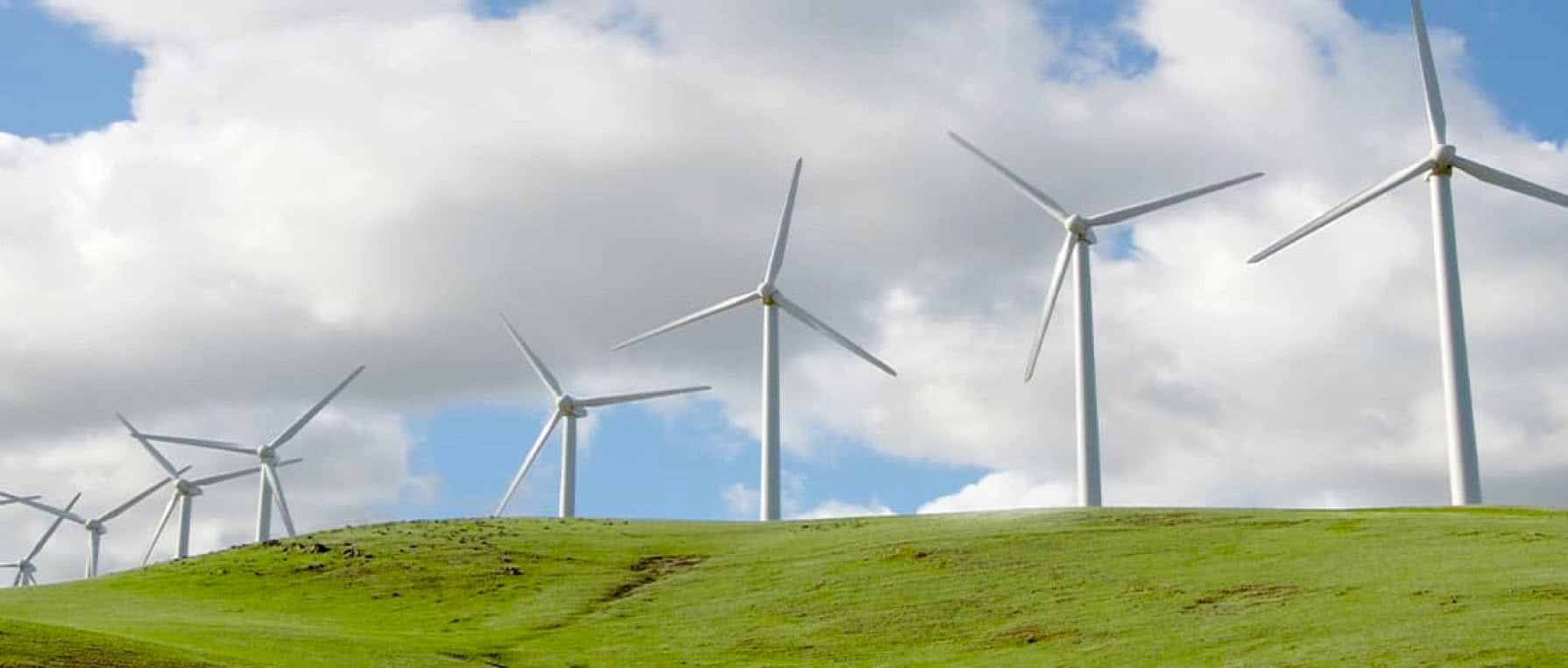 WindTurbinesspinningoveragreenfieldandabluesky,generatingpowerfortheeastbay.