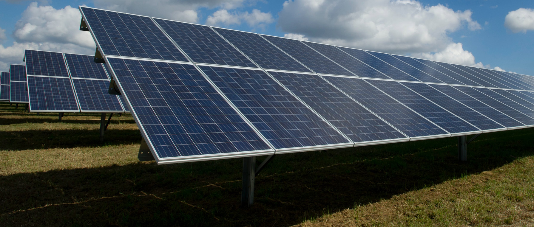 Solar panels in a field
