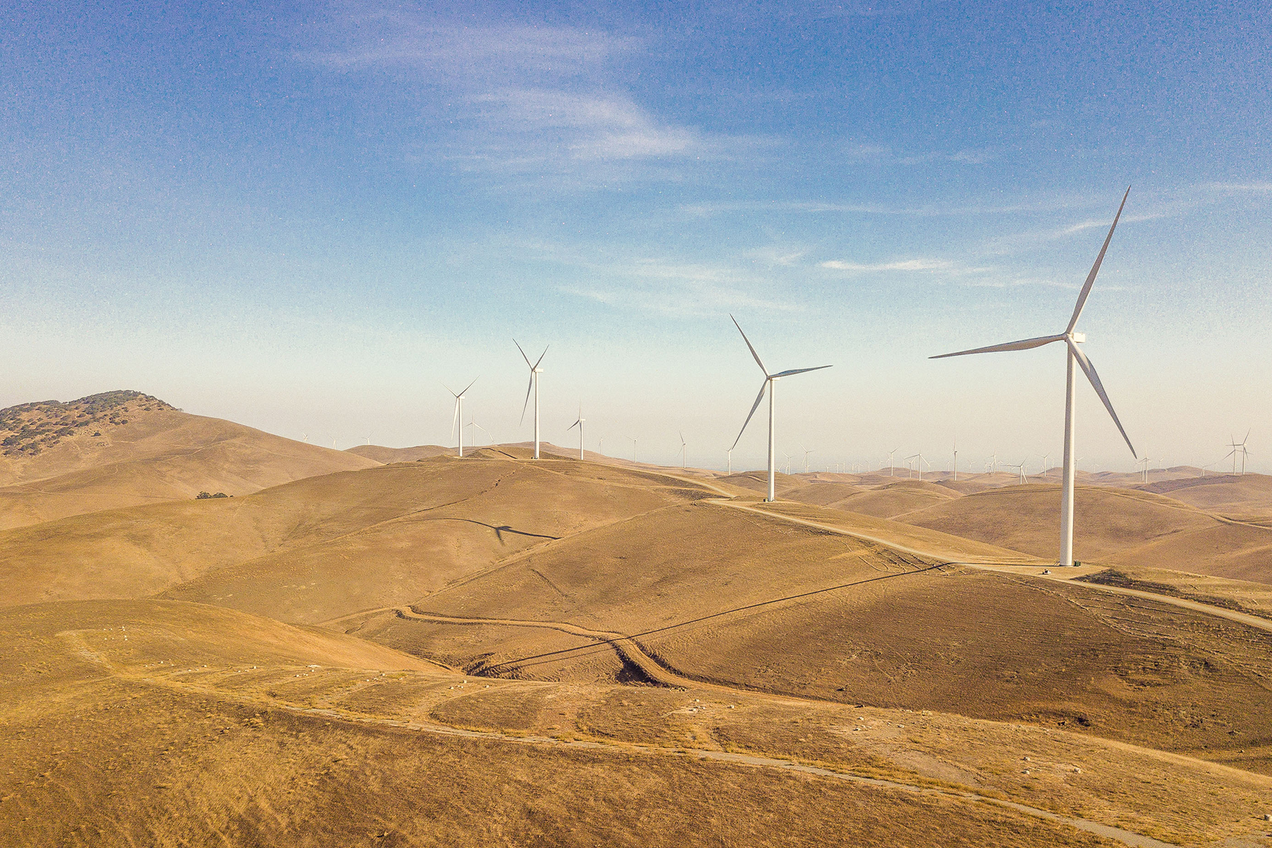 Scott Haggerty Wind Energy Center in Altamont Pass