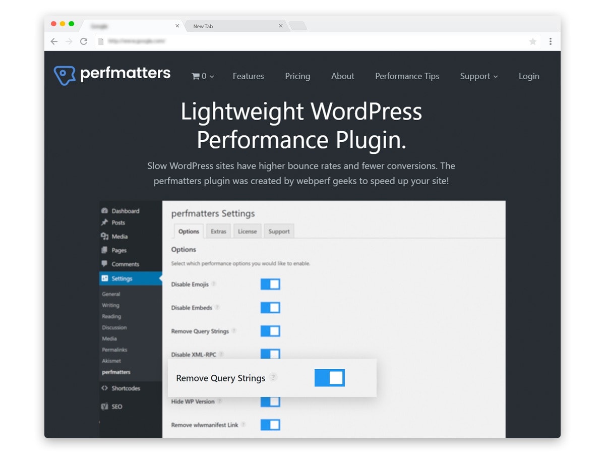 Remove Query String from WordPress static files with Perfmatters premium plugin