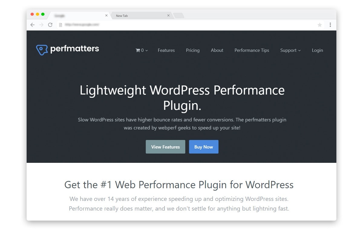 Perfmatters WordPress Performance Plugin Discount and coupons