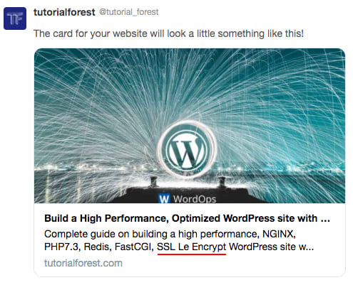 Twitter Card tweet cache Twitter Card tweet cache