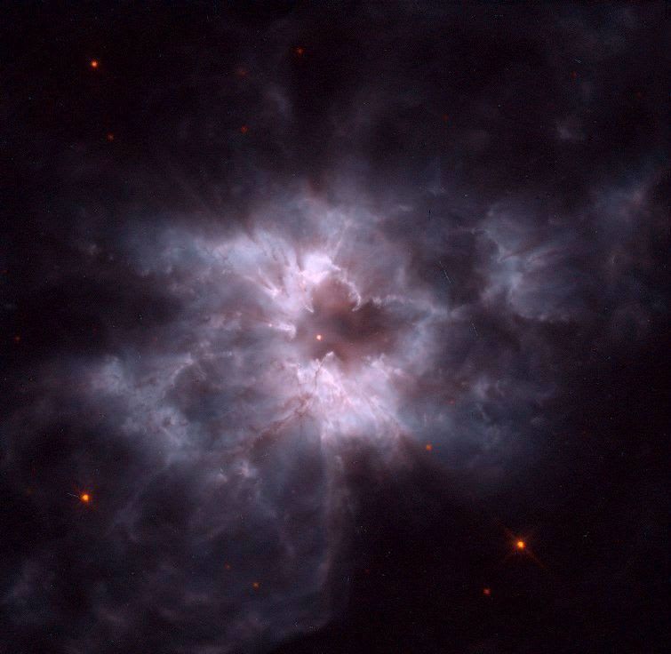 Cocoon of a New White Dwarf
