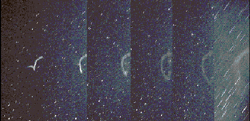 The Leonid Meteor Shower