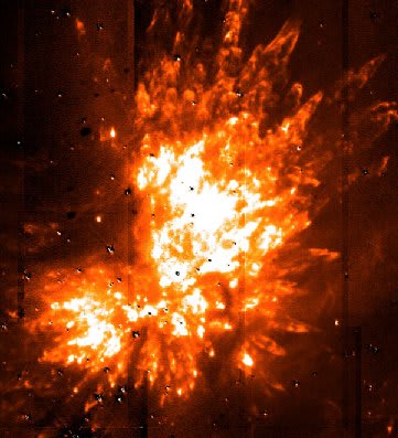 The Kleinmann-Low Nebula