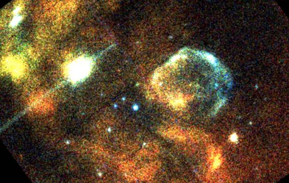 XMM-Newton First Light: X-Rays From The LMC