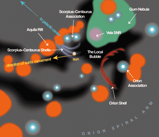The Local Bubble and the Galactic Neighborhood