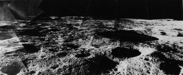 Surveyor Hops