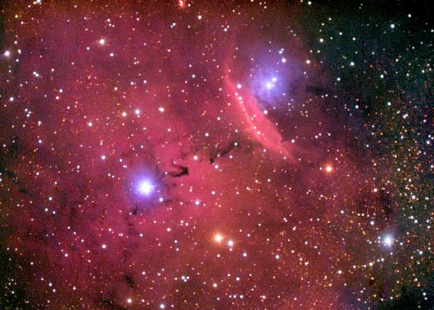Emission and Reflection in NGC 6559