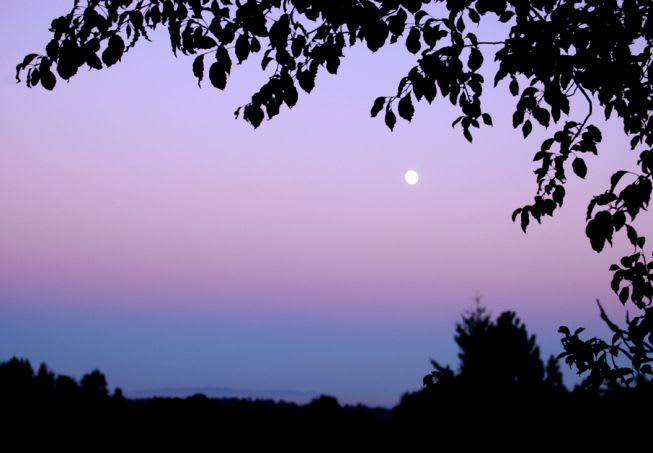 Shadow Rise
