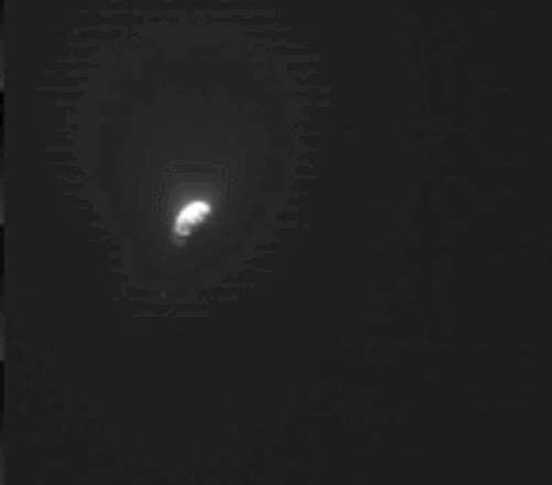 STARDUST Flyby of Comet Wild 2