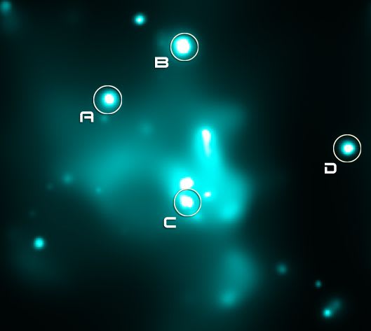 The Swarm