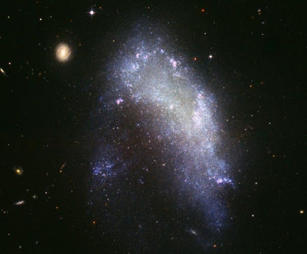 NGC 1427A: Galaxy in Motion
