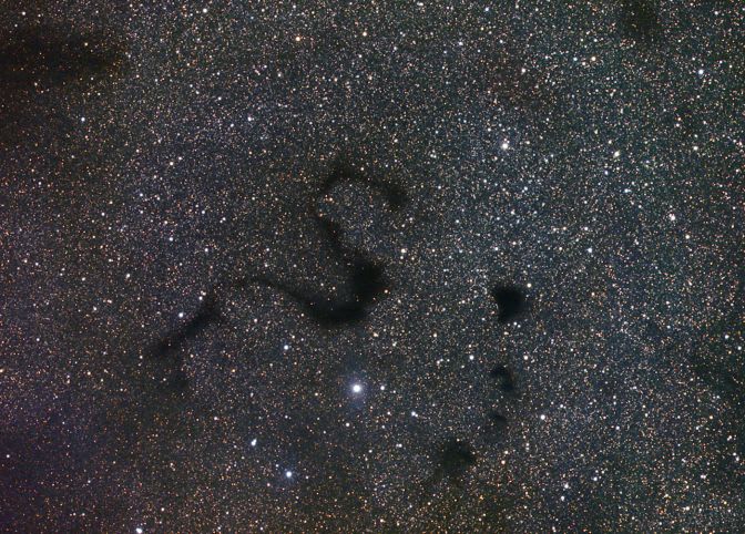 Snake in the Dark
