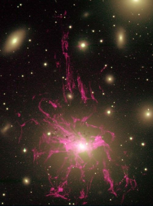 Unusual Gas Filaments Surround Galaxy NGC 1275