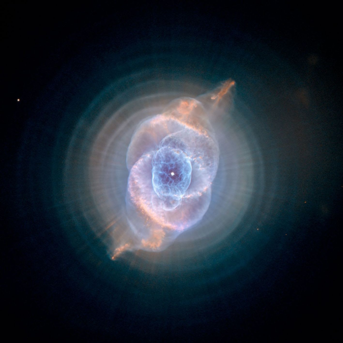 Cat's Eye