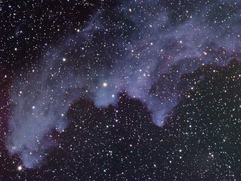 IC 2118: The Witch Head Nebula