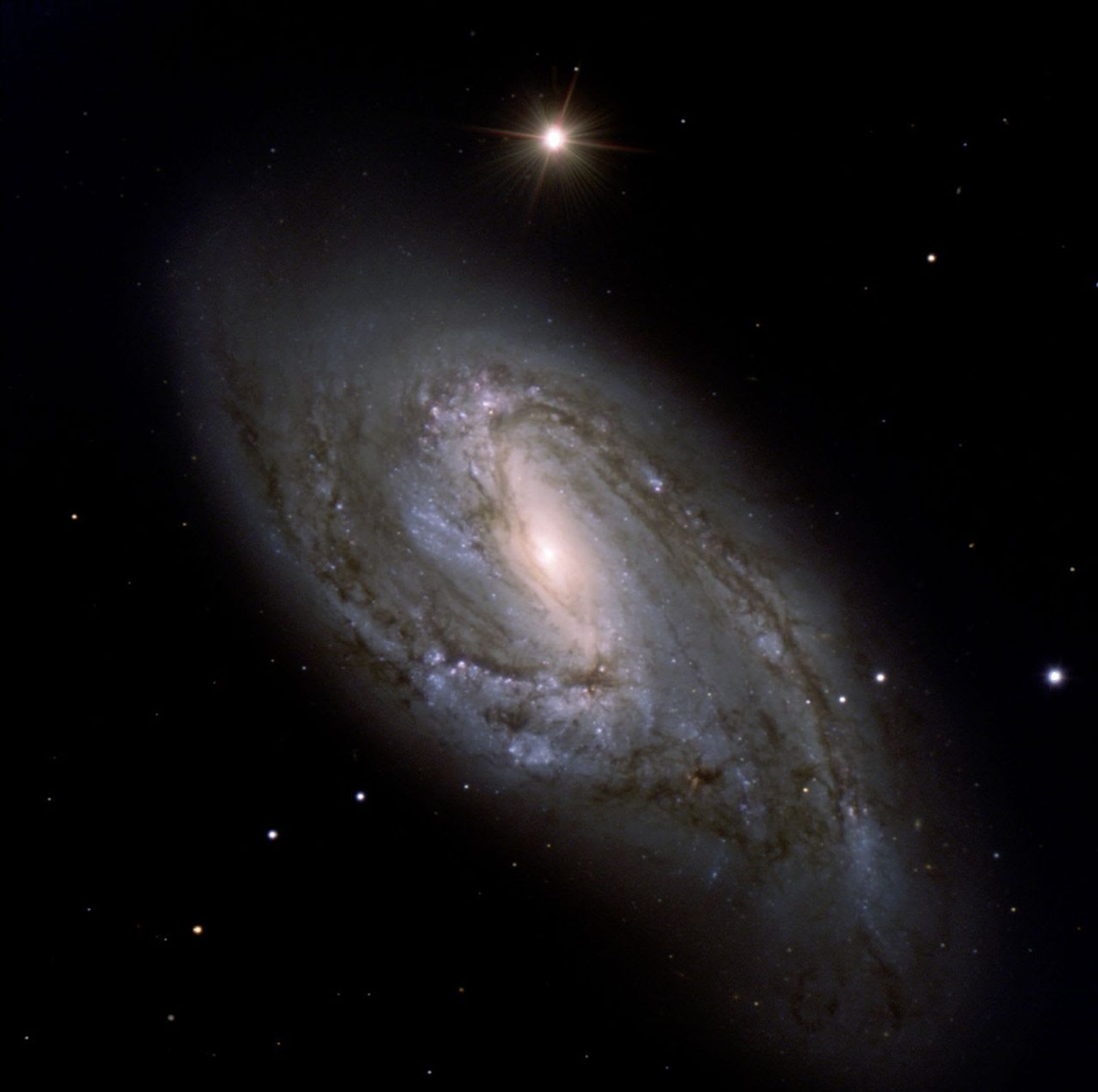 Dusty Spiral M66