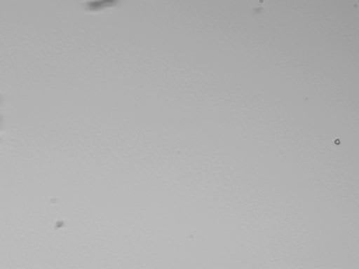 Help Search for Interstellar Dust