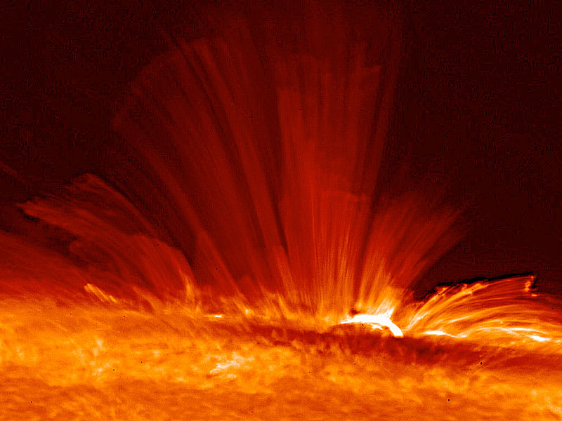 An Active Sunspot Viewed Sideways