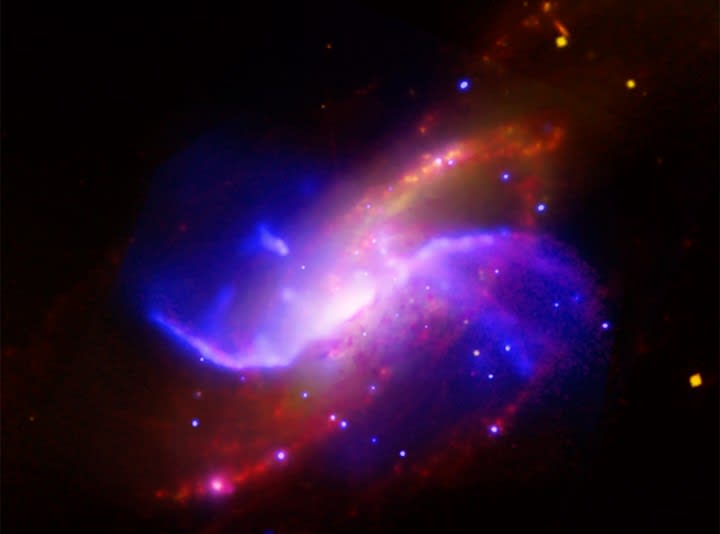 The Arms of NGC 4258