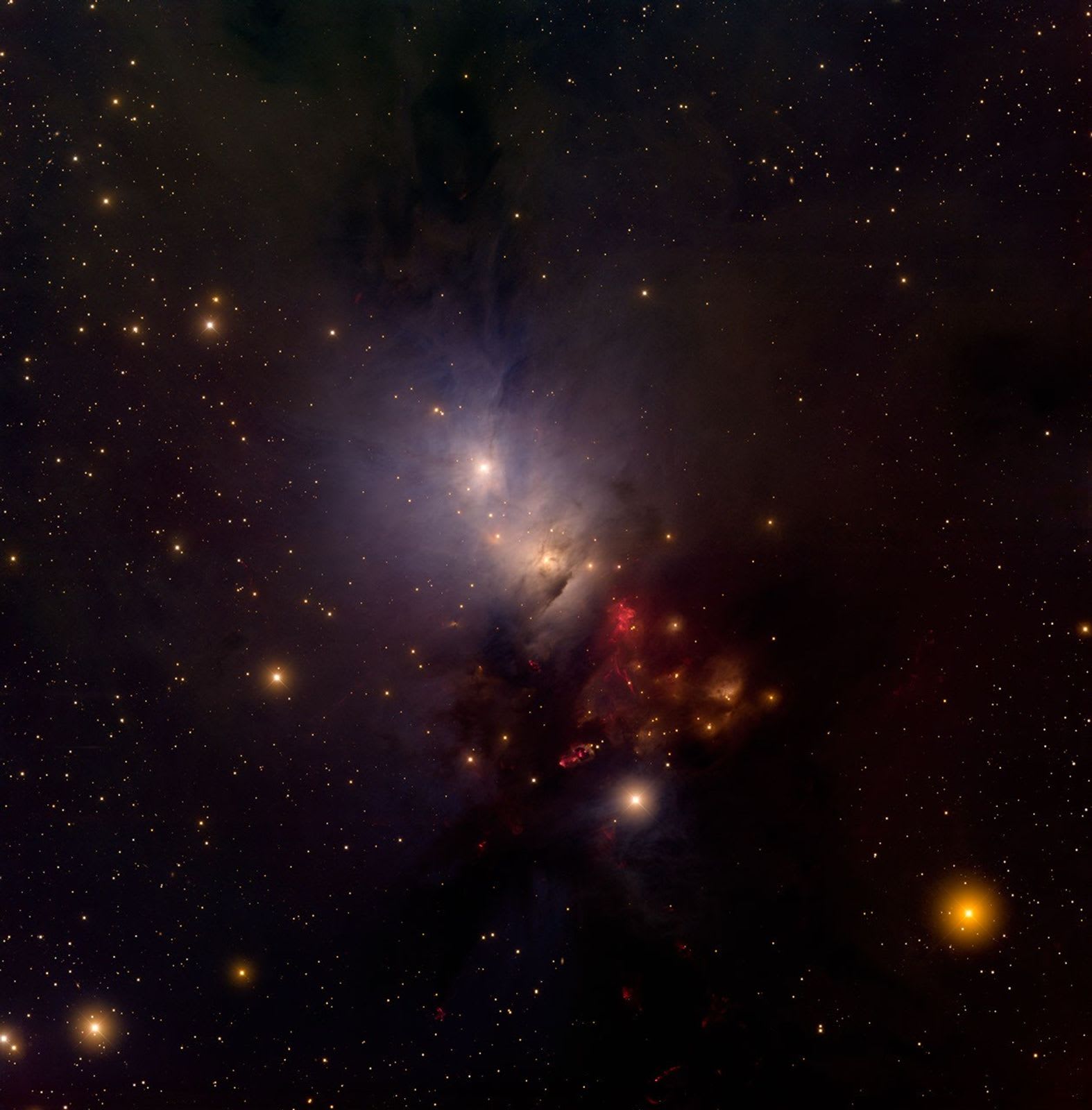 In the Center of Reflection Nebula NGC 1333