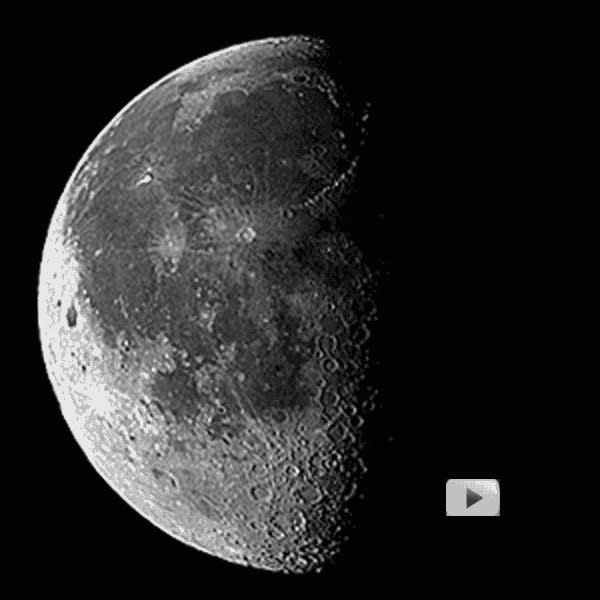 Lunation