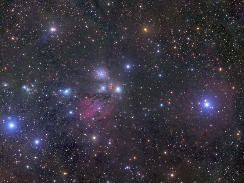 NGC 2170: Celestial Still Life