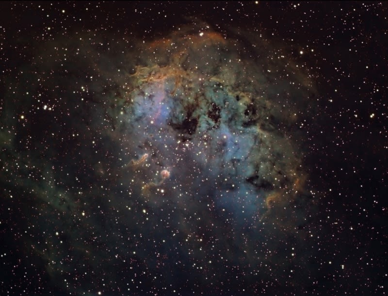 IC 410 and NGC 1893