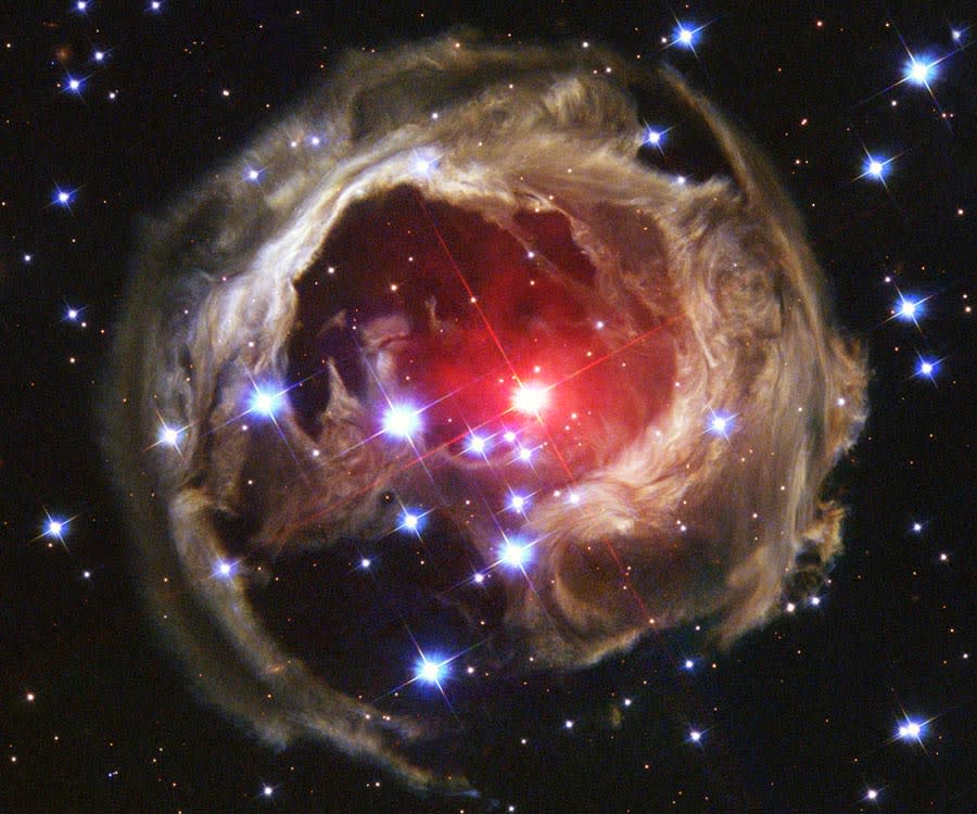 Light Echoes from V838 Mon