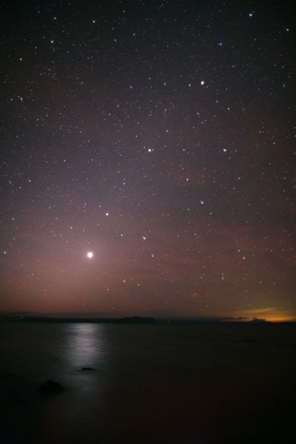 Ecliptic New Zealand