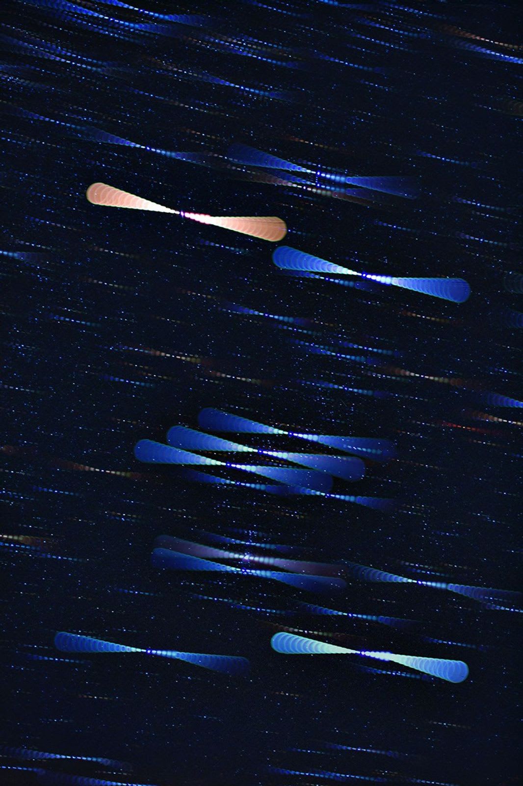 Star Colors in Orion