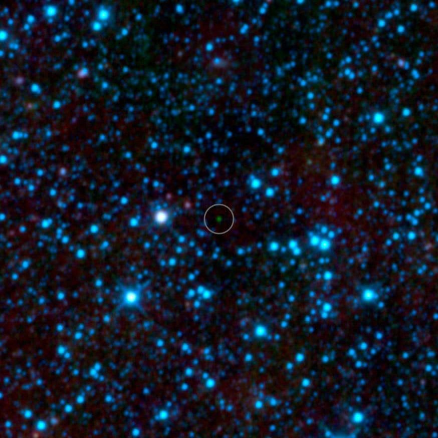 The Coldest Brown Dwarf