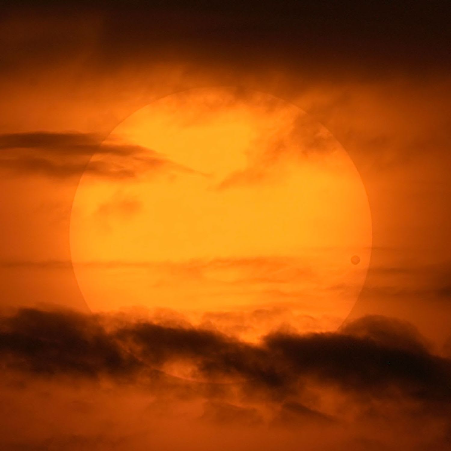 A Picturesque Venus Transit