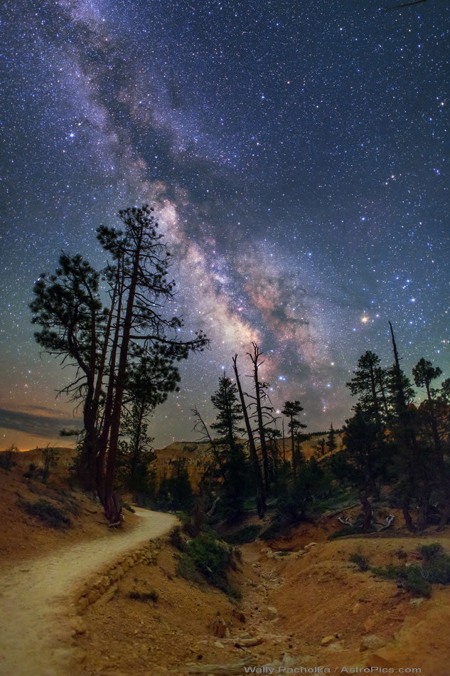 The Milky Trail