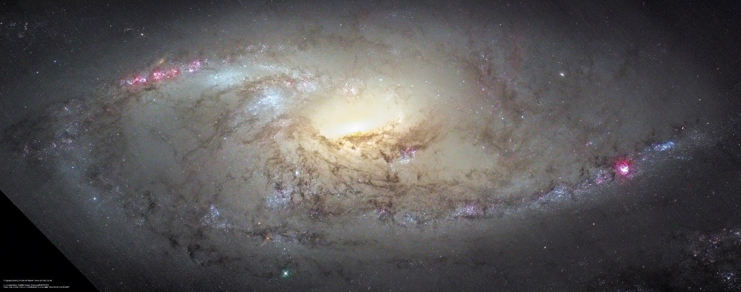 M106 Close Up