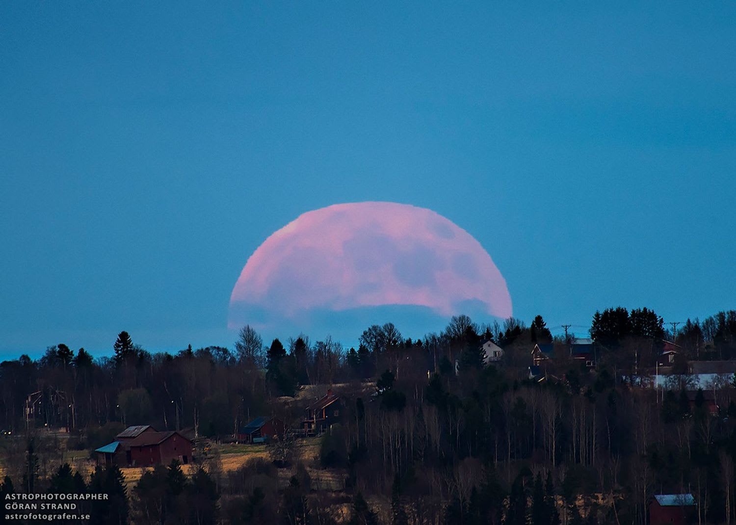 A Strawberry Moon