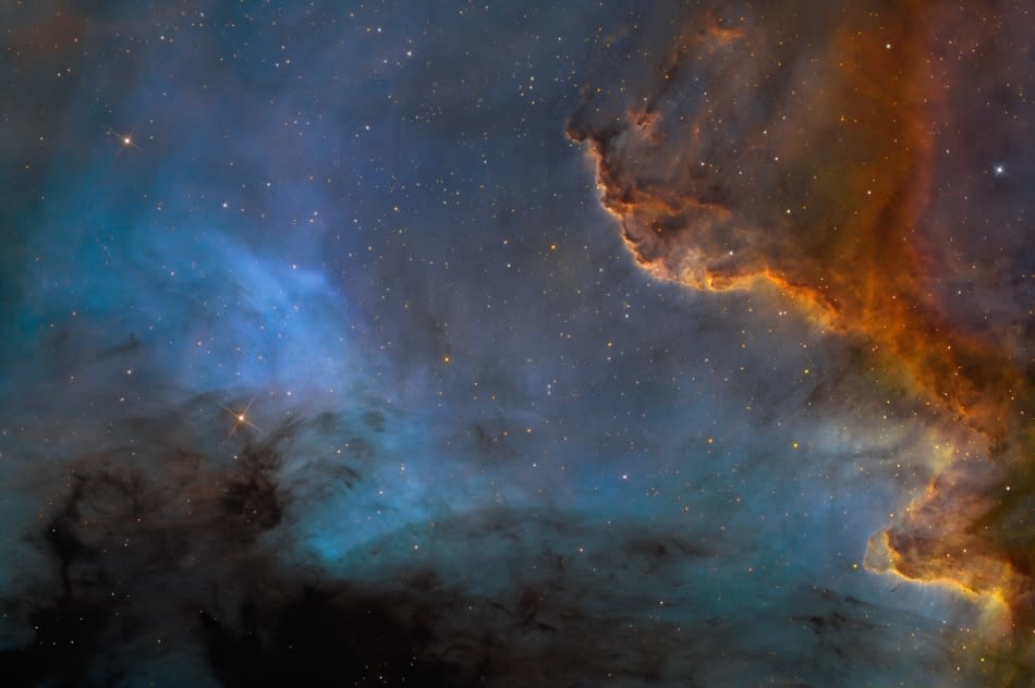 Along the Cygnus Wall