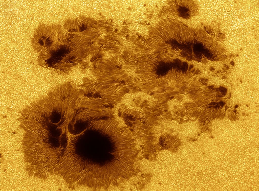 AR 2192: Giant on the Sun