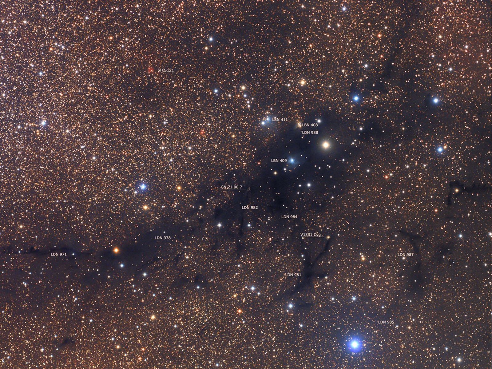LDN 988: Dark Nebula in Cygnus
