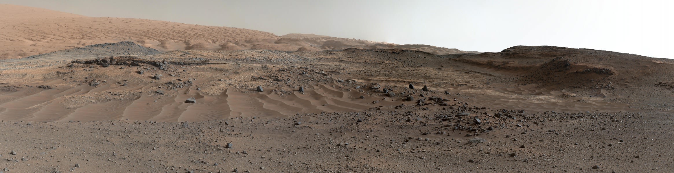 Curiosity's View