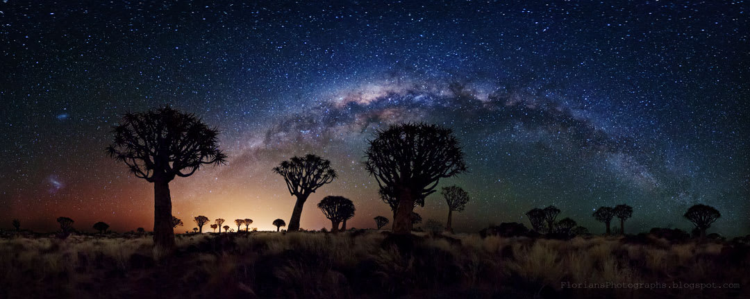 Milky Way Over Quiver Tree Forest