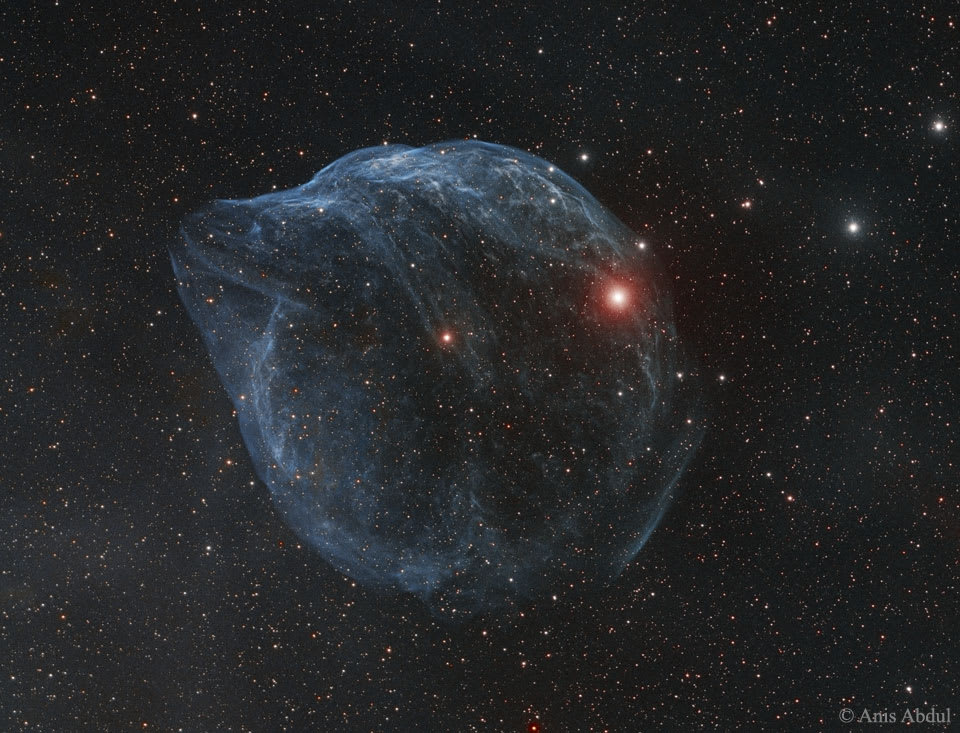 Sharpless 308: Star Bubble